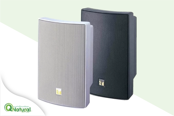 ชุดลำโพงเรียกคิว Speaker